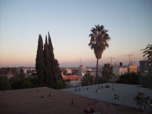 Skyline Views of Los Angeles from  Hollywood Hills Apt